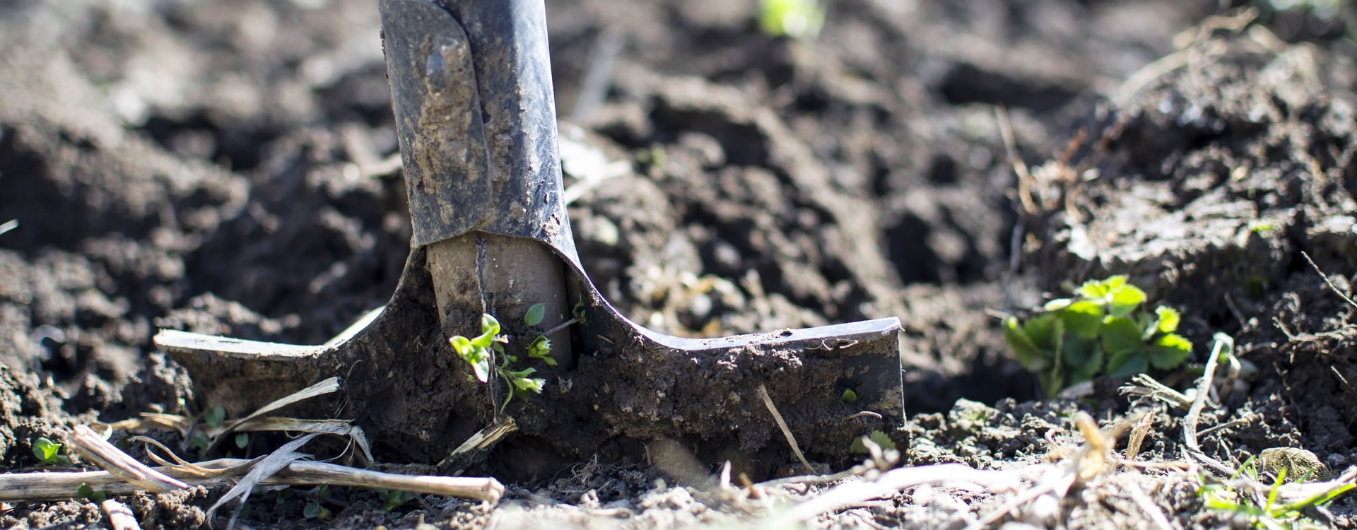 A spade in soil